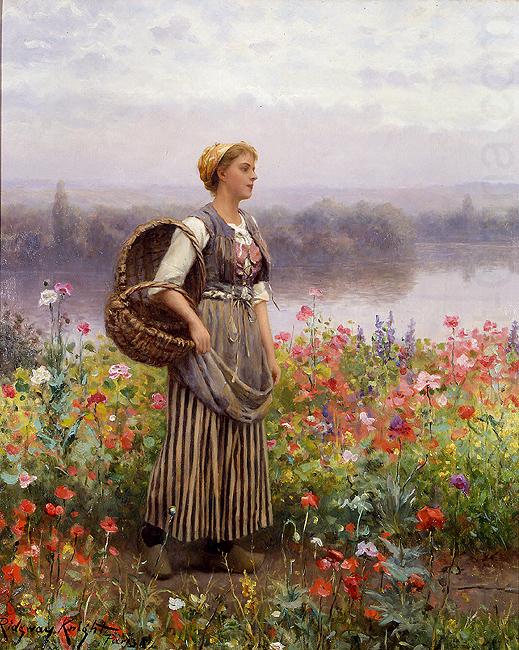 Daniel Ridgeway Knight The flower girl china oil painting image